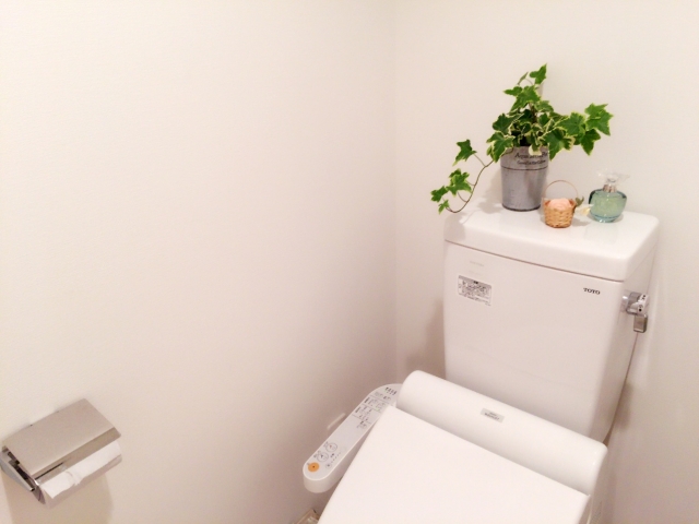 トイレの壁紙選び 我が家がこだわったポイントとお気に入りのサンゲツ木目調クロスを紹介 Yuzukoのおうちごと